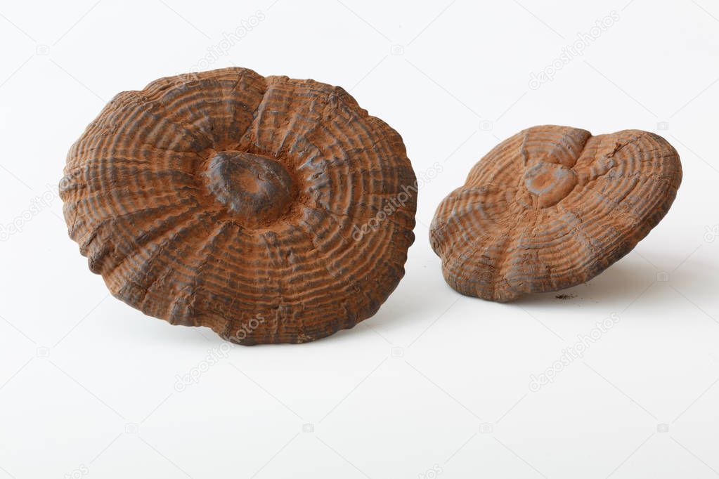 Consegna pacchi con corriere